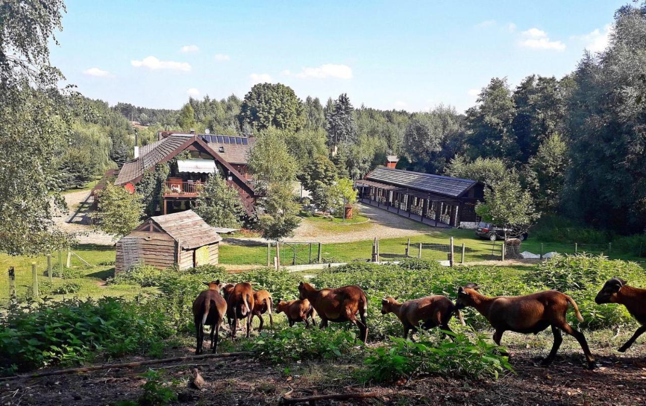 Villa Tamarynowa Osada - Kraina Udanego Wypoczynku Lowyn Exterior foto